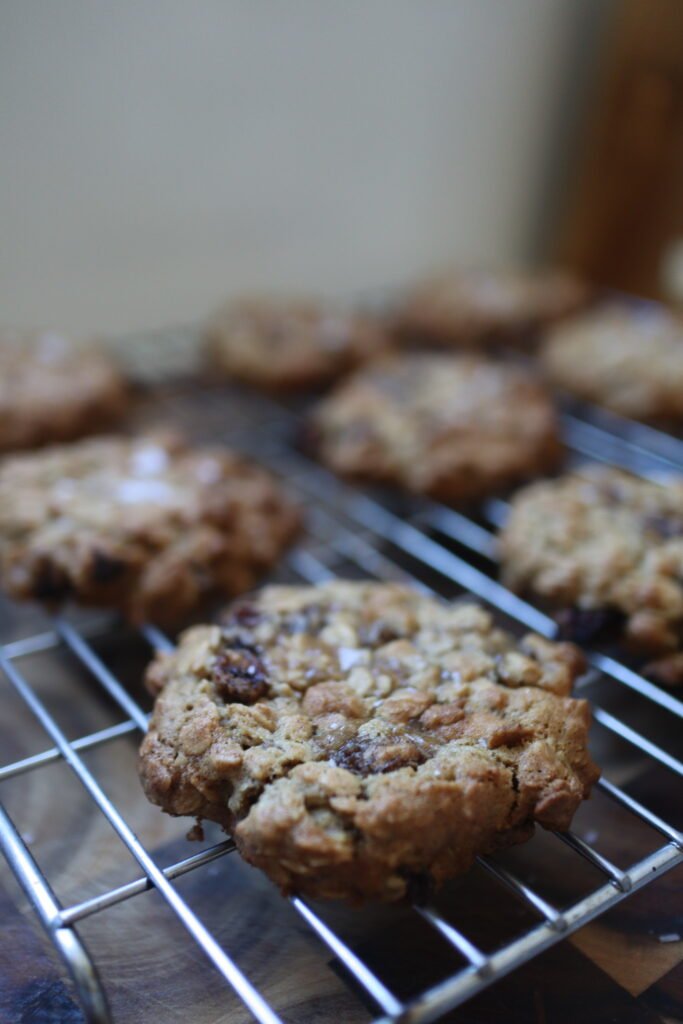 Sultana apricot oat meal cookies on cooling rack