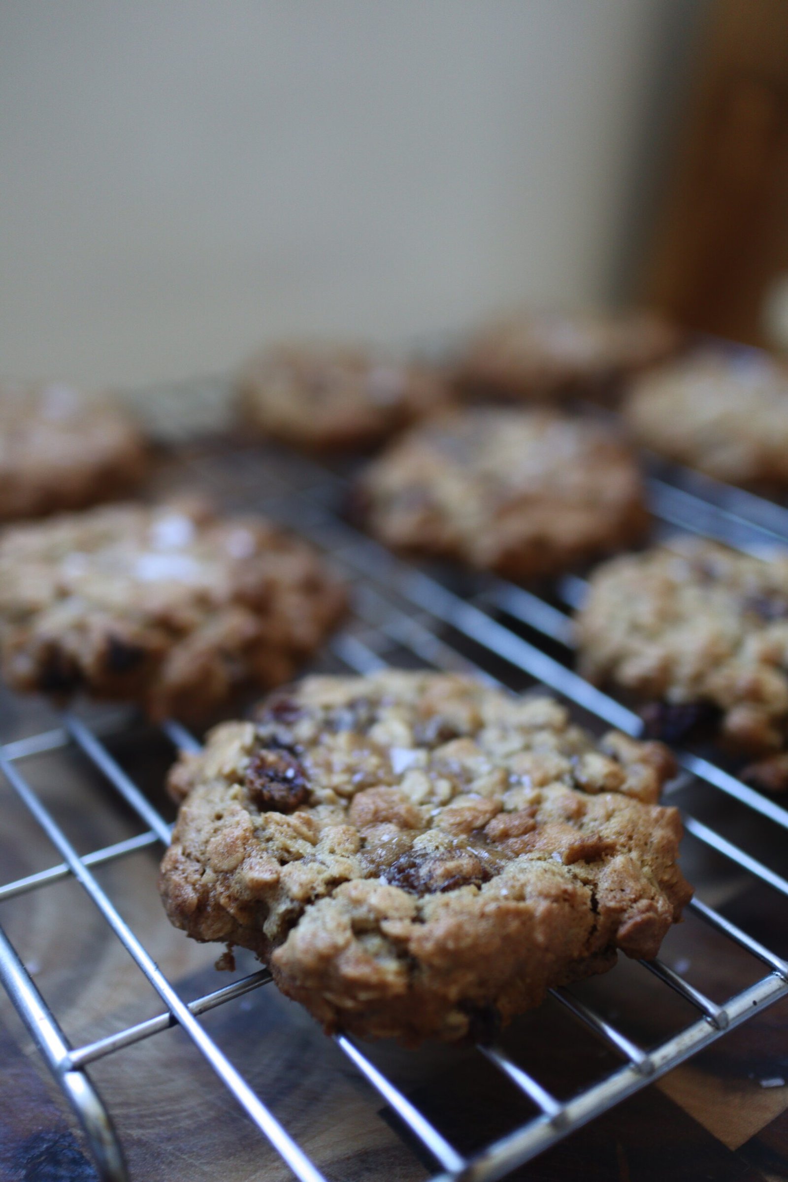 Sultana, apricot & ginger oat cookies