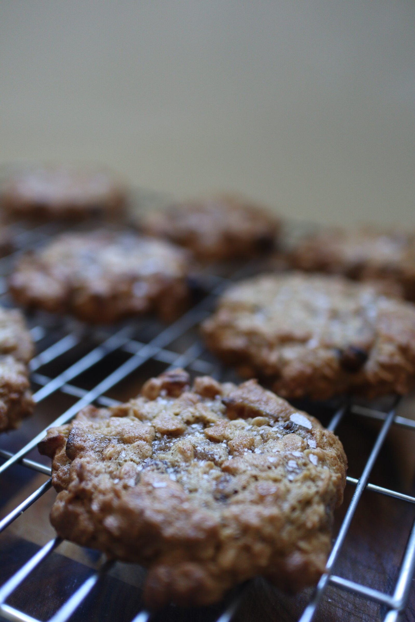 Sultana, Apricot ginger cookies on cooling rack