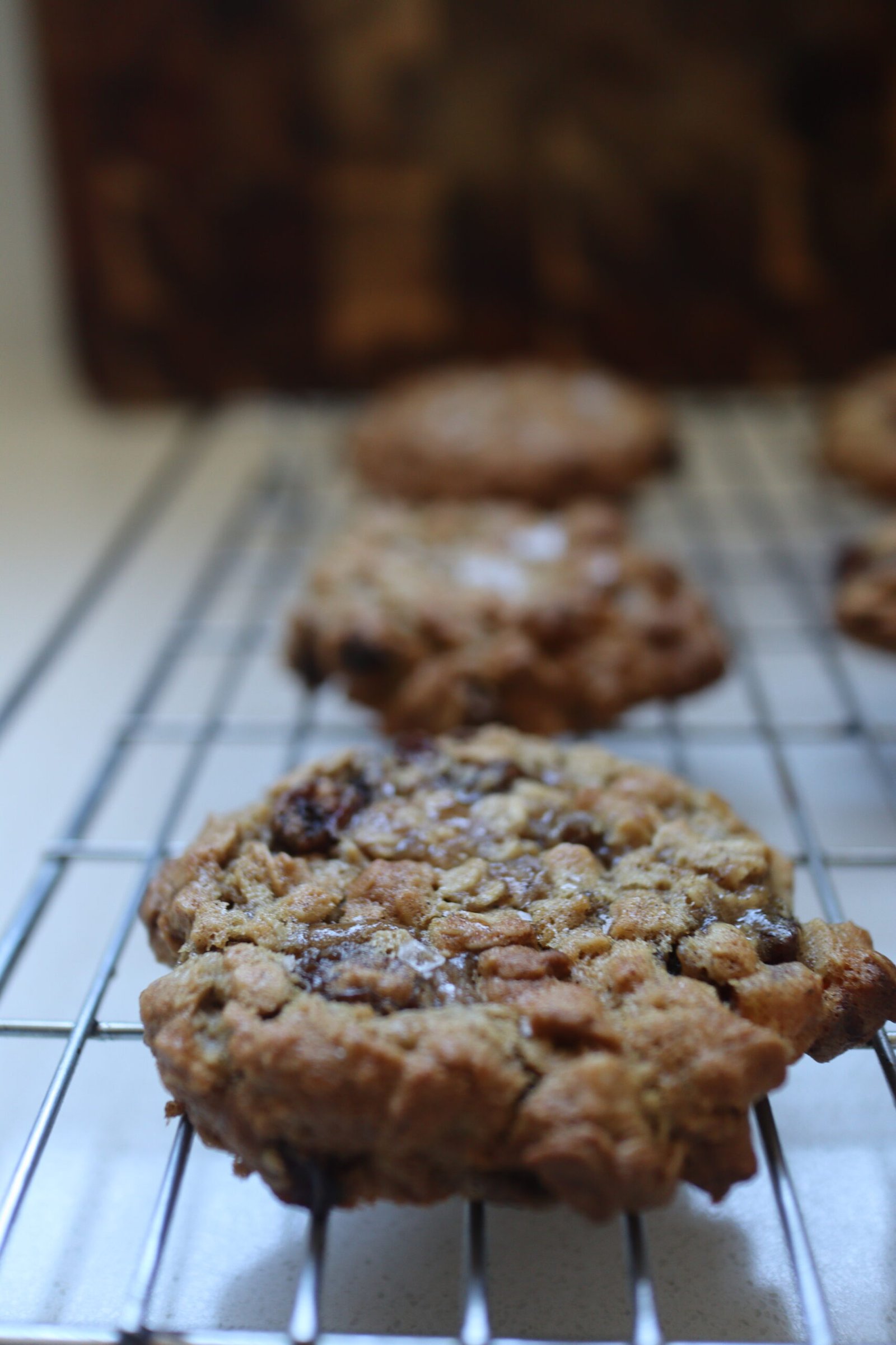 Sultana apricot ginger oat cookies on cooling rack